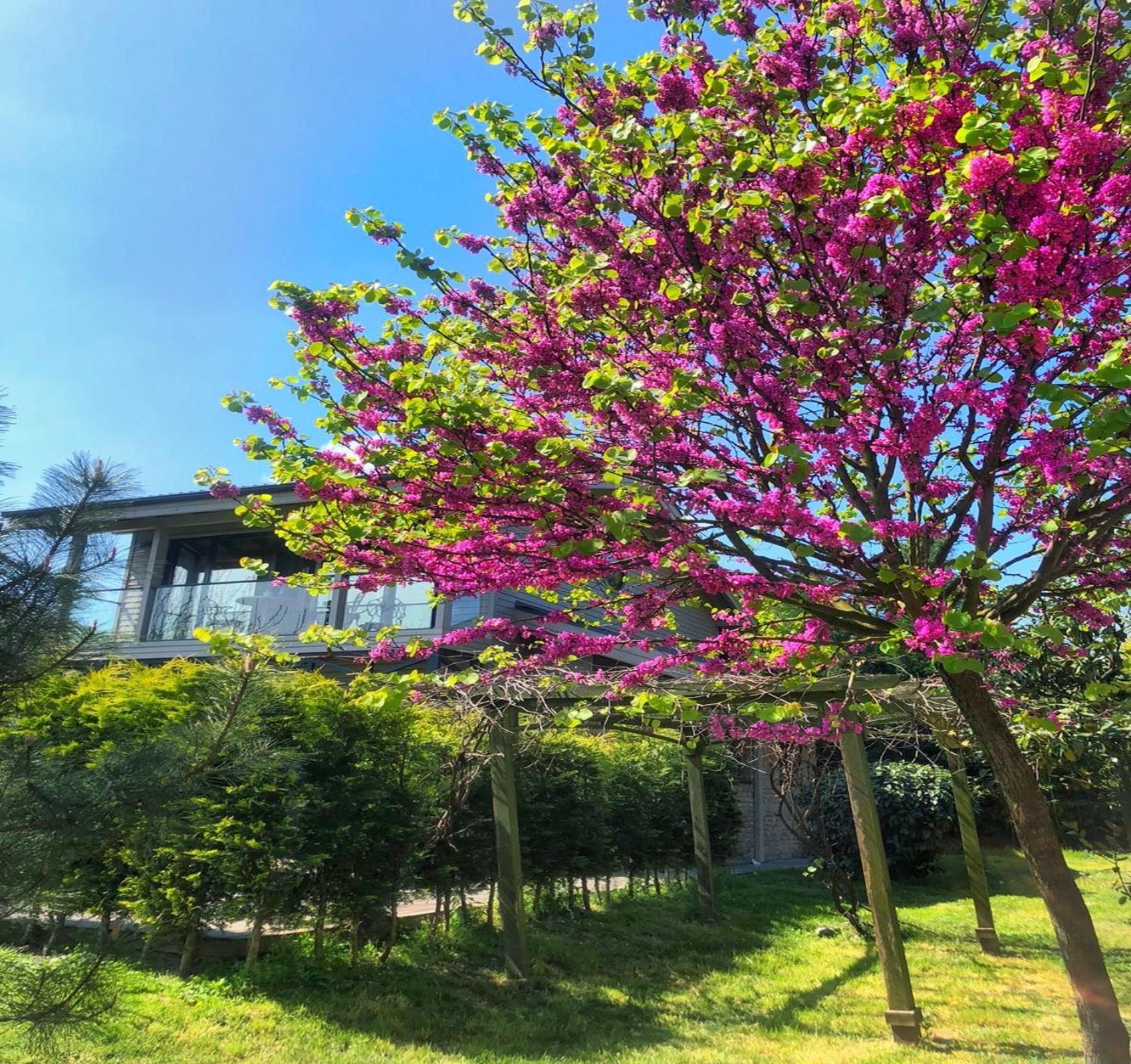 Villa Kirkpinar Sapanca Ngoại thất bức ảnh